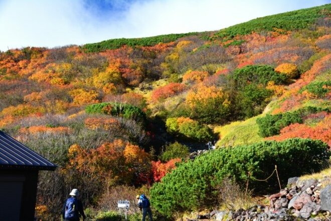 赤や黄色に色づいた木々の美しさが登山客の心を癒やす秋の御岳山　※画像はphotoACより