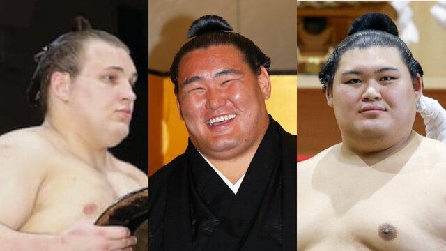 注目の安青錦、豊昇龍、大の里