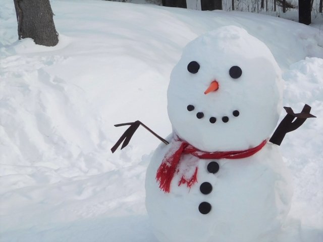 『アナと雪の女王』エルサ、アナ姉妹も、10～30代の女子が「好きなディズニーのヒロイン」【第4位以下】の画像