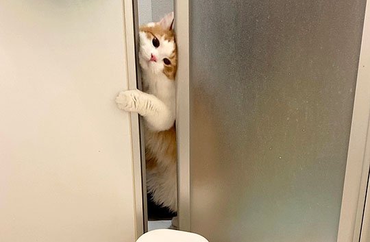 ※画像／ピンズバNEWS編集部