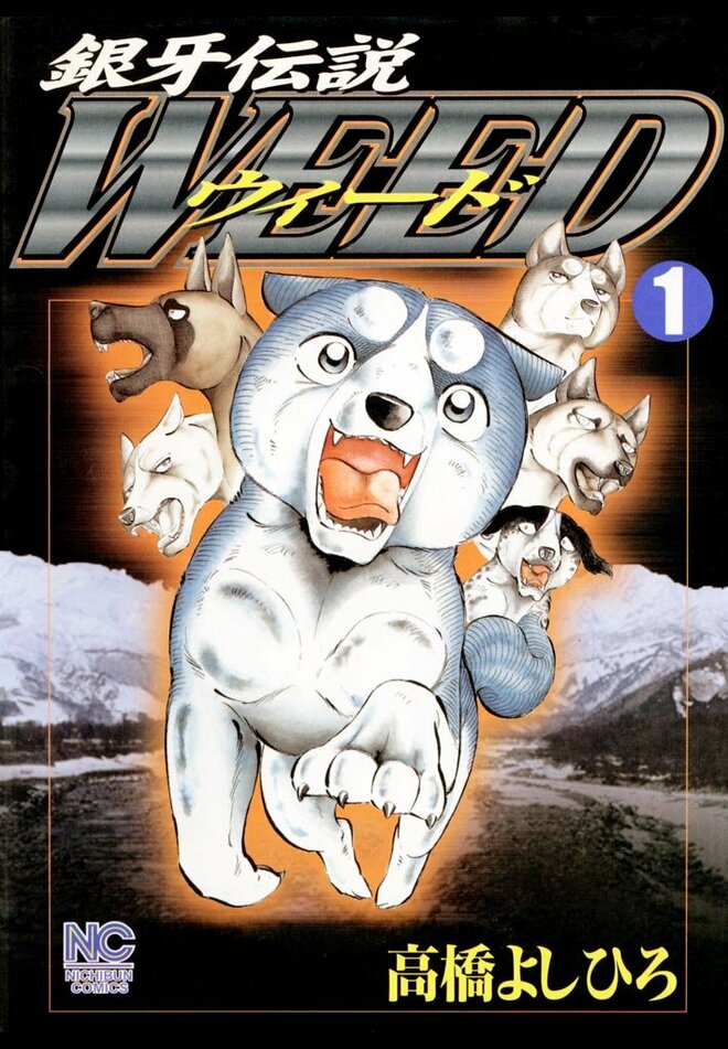 放牧中の牛を野犬が急襲…北海道が『銀牙―流れ星 銀―』の世界になった驚きの理由の画像