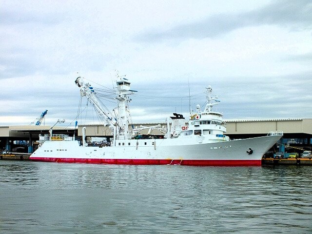 驚きの給与、労働環境、船の上の日常…体験ルポ出版の著者を直撃　乗ったら凄かった「マグロ漁船」の画像