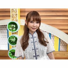 中川翔子「電撃婚」のウラにまたしても「最強キューピット」がいた!!過去の恋人の隠し子騒動を乗り越え…竹野内豊似イケメンとゴールイン！