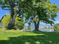 「オノヨーコさんかと」カナダ留学中の51歳・光浦靖子、サングラス姿の久々近影に「バンクーバーになじんでますね！」「お顔見れて嬉しい」