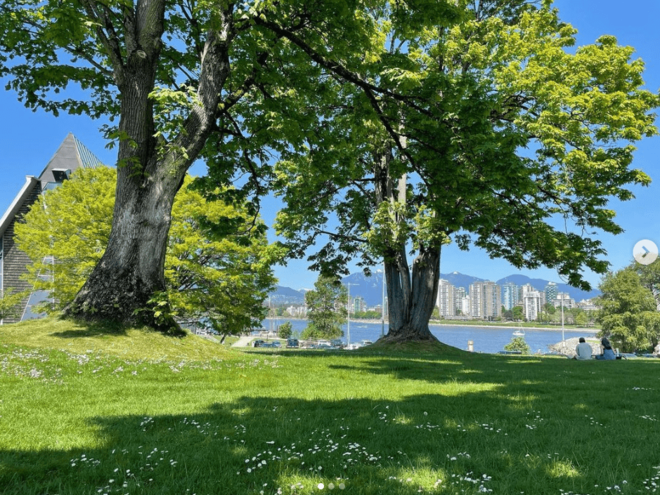 「オノヨーコさんかと」カナダ留学中の51歳・光浦靖子、サングラス姿の久々近影に「バンクーバーになじんでますね！」「お顔見れて嬉しい」の画像