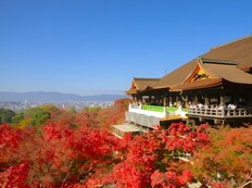 中学生の修学旅行「1人平均7万円超」に！　物価高とオーバーツーリズム直撃で行き先候補に北陸や東北が入る