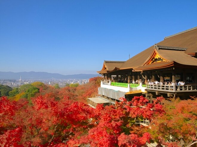 清水寺の美しい紅葉