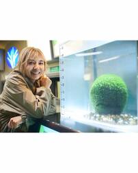 「30年前の山口智子綺麗すぎる」フジテレビバラエティ『古畑任三郎』特集が沸騰も…視聴者が想った“タブー感”