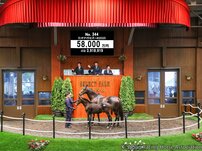 武豊「今年のセレクトセールの主役は」天才ジョッキーの裏話コラム