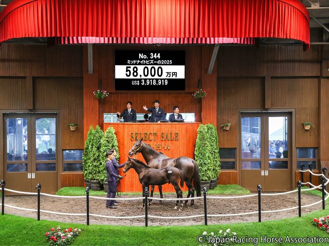 5億8000万円で落札されたミッドナイトビズーの2025