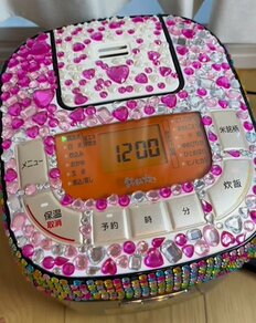 「さっしー似」「美人すぎ」人気インフルエンサー炊飯器ギャルが遂に“初顔出し”！