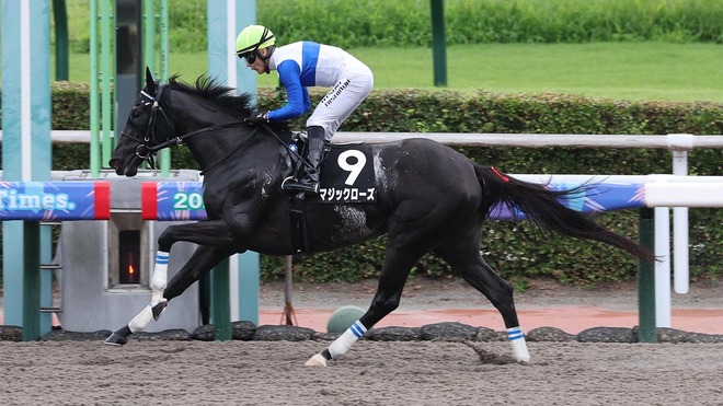 武豊、海外での経験を糧に「厳しい結果。敗因を分析し、これからも積極的にトライしたい」の画像