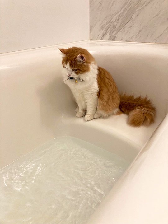 ※画像／ピンズバNEWS編集部