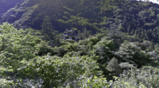 地図にない"山奥の謎の城"が2200万回閲覧の大バズリ　四国中央市は「驚き」地元民も知らない廃墟の"切ない歴史"