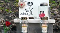 ペット火葬でトラブル多発「このままだと生焼けに…」飼い主がすべき準備と業者の見分け方