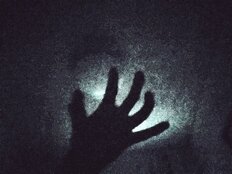 「一番怖かった」邦画、洋画が続々、10～30代男女が「夏に見たくなる怖い映画」【第4位以下】