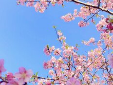 新たな気持ちで“新しい季節”のスタート！10～30代男女が「春になるとやりたくなること」【トップ3】