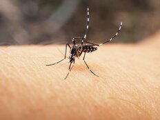 夏の虫刺されと痒みを即撃退する「最新神グッズ＆裏ワザ」厳選5