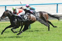 武豊【１つだけ『ドラえもん』の秘密道具をもらえるとしたら…】　天才ジョッキーの裏話コラム