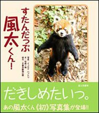 54年ぶりの“パンダ不在”事態も実は世界の4分の3の“パンダ”がいるパンダ王国・日本　あの“二本足で立つパンダ”風太くんは健在だった