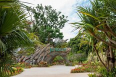 「テーマパークへの不満」ランキング、"待ち時間の長さ"を超え「体験に見合っていない」切実理由【トップ3】