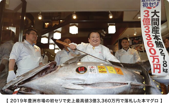クロマグロ「記録的な大漁」の裏で…漁師の困惑と値が下がらない理由の画像