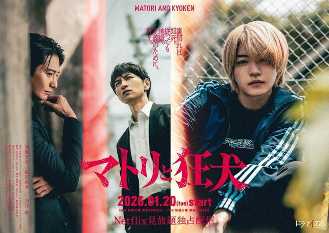 MBS深夜の30分ドラマ『マトリと狂犬』で“豪華すぎる”「向井理と西畑大吾が共演」の理由　テレビ各局で進む「配信シフト」とはの画像