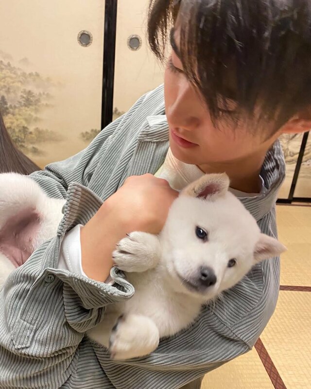 オレンジの花を見て微笑むような顔を見せる北海道犬（写真は藤岡弘、公式インスタグラム『＠hiroshi_fujioka_official』より）