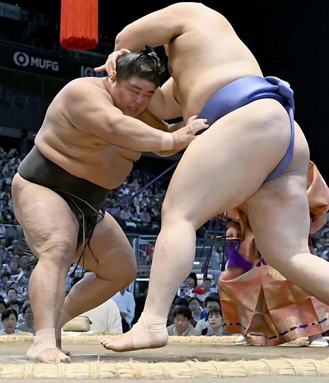 大の里に勝利した伯桜鵬