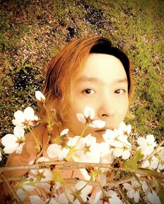 女子が「キンキ堂本光一と舞台共演してほしいジャニーズ」ランキング、“相方”堂本剛を大きく引き離してのトップは？【トップ4】