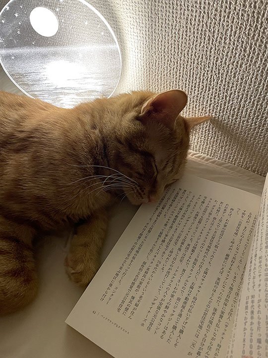 ※画像／ピンズバNEWS編集部