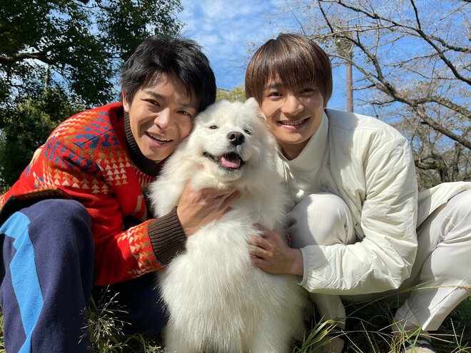 【海外輸入】 日本テレビ『すきすきワンワン！』キンプリ岸優太もメロメロ TVドラマ