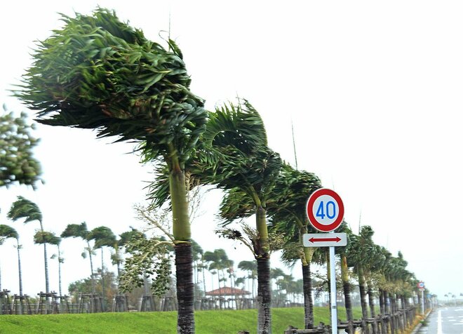 台風シーズン到来　沖縄の「台風あるあると対策」に学ぶ災害時の心構えとはの画像