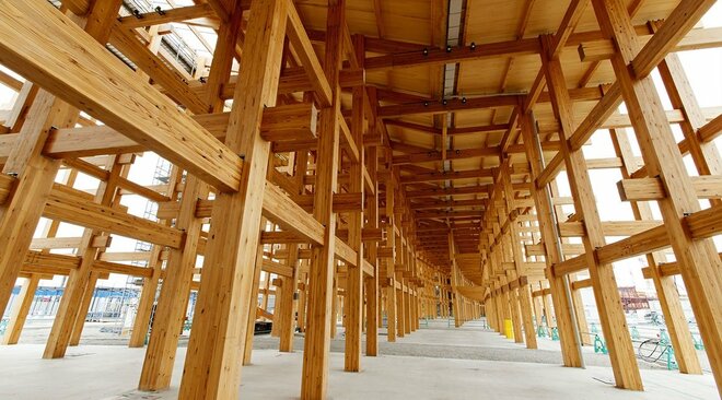 万博会場に虫が大量発生、アース製薬に援助要請も「費用は想像を絶する」害虫駆除業者が指摘、死骸で“アレルギー被害”可能性もの画像