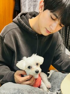 女子が選ぶ「4月イケメン総選挙」ランキング！「ずっと完璧」なかっこよさの佐藤健をトップから引きずり降ろした“顔がきれいすぎる”超美形俳優は？【トップ3】