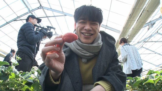 「好きな朝の情報番組」ランキング、『ラヴィット！』を抑えた"癒しアナ"がMC「朝にふさわしい」番組は【トップ3】の画像