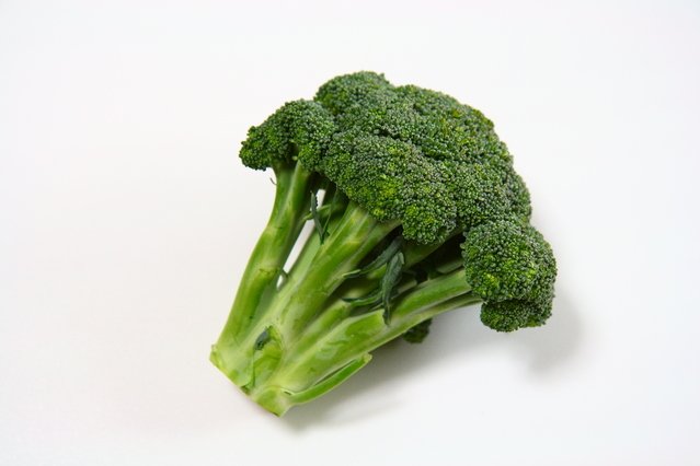 新たに「指定野菜」になったブロッコリーの凄さを“筋肉のプロフェッショナル”が徹底解説！「ブロッコリーはトレーニーにとって“魔法の食材”」の画像