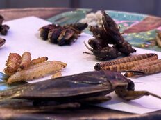 2000円超の虫パフェに「スイーツ好き」が大注目 発売5年目のリニューアルが昆虫食初心者も惹きつけたワケ