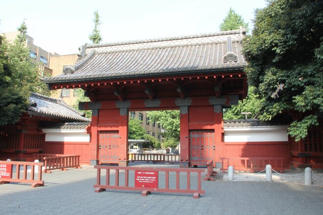 東京大学はなぜ文理融合型5年制新課程を開設するのか？背景にある中国、シンガポールに劣る世界大学ランキング29位…専門家が解説の画像